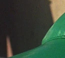 Max (Muppet Movie)