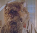 Splinter