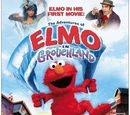 The Adventures of Elmo in Grouchland (video)