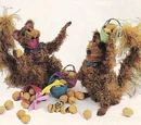 Squirrels