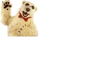 Jake the Polar Bear