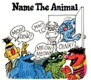 Name the Animal