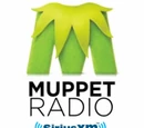 SiriusXM Satellite Radio