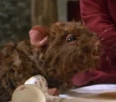 The Dormouse (Dreamchild)