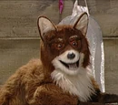 Virginia the Red Fox