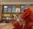 Murray's Science Experiments