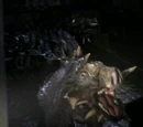 Targ