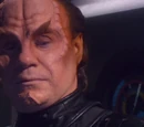 Phlox (mirror)