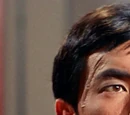 Hikaru Sulu (mirror)