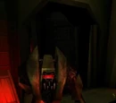 Grigari