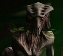 Species 8472