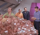 Tribble