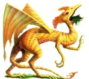 Draco Berengarius