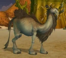 Lady Humps