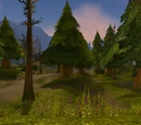 Loch Modan