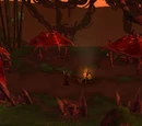Warchief's Lookout