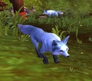 Corsac Fox