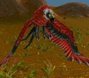 Dire Condor