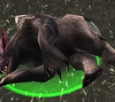 Former bear models