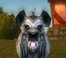 Scarlet Farm Hound