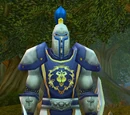 Stormwind Guard (NPC)