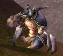 Muckshell Clacker