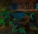 Winding Chasm