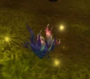 Purple Lotus