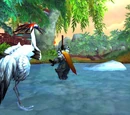 Pandaren (playable)