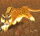 Dishu
