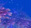 Seabrush