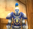 Stormwind City Guard (NPC)