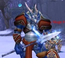 Dragonblight Mage Hunter