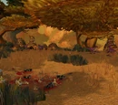 Raptor Grounds