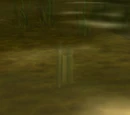A Soggy Scroll