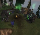 Apothecary Camp