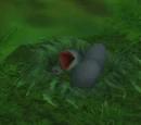 Ravasaur Matriarch's Nest