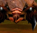 Greater Tarantula