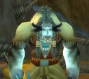 Turak Runetotem