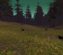 Venomweb Vale
