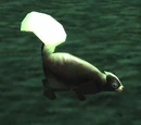 Skunk