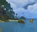Shipwreck Shore