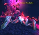 Crimson Shale Spider
