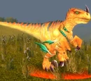 Highland Strider