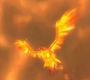 Fire Hawk Matriarch