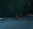 Tenebrous Cavern