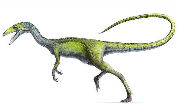 Compsognathus