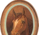 Penny (horse)