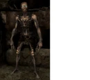Draugr (Skyrim)