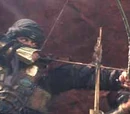 Haradrim